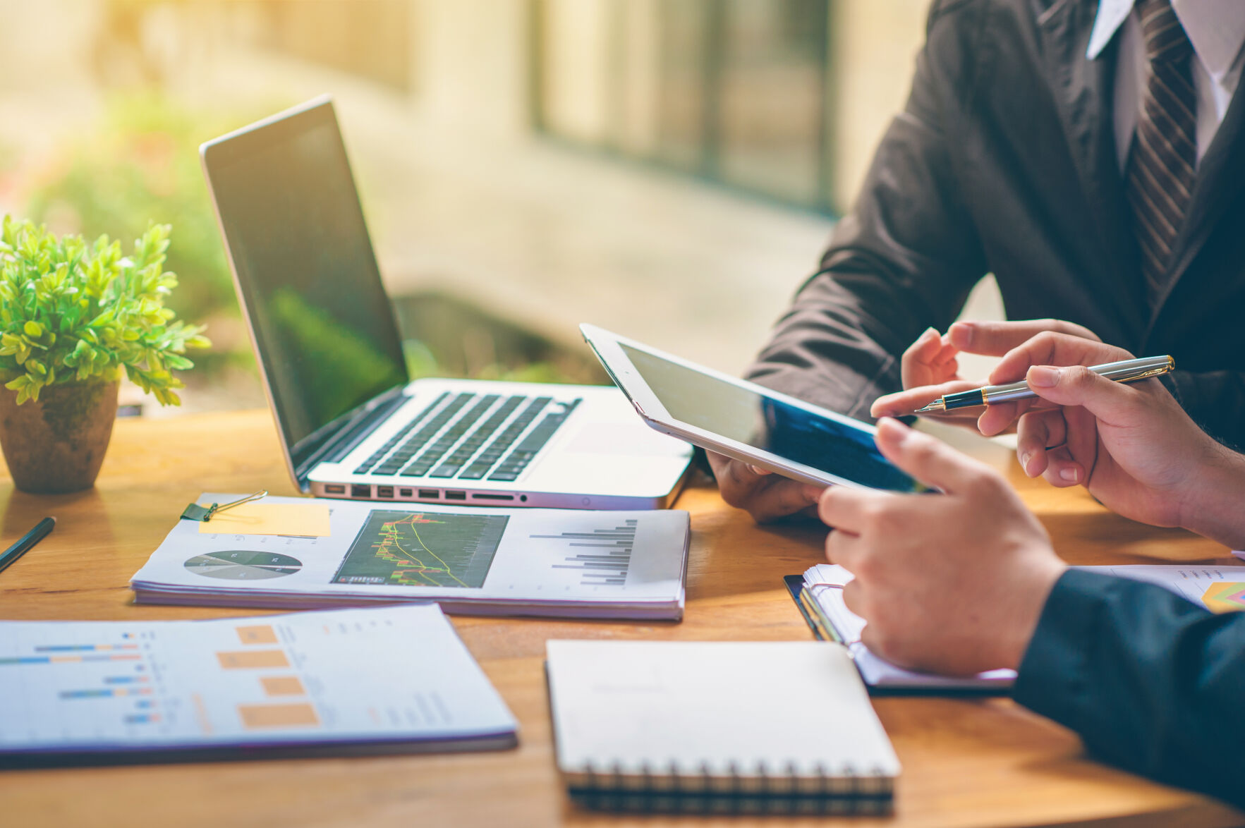 WEALTH ADVISOR: Moneta Group